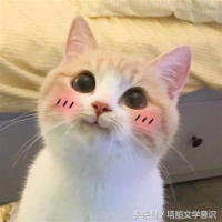 恩(預約手術回診.皮下等)