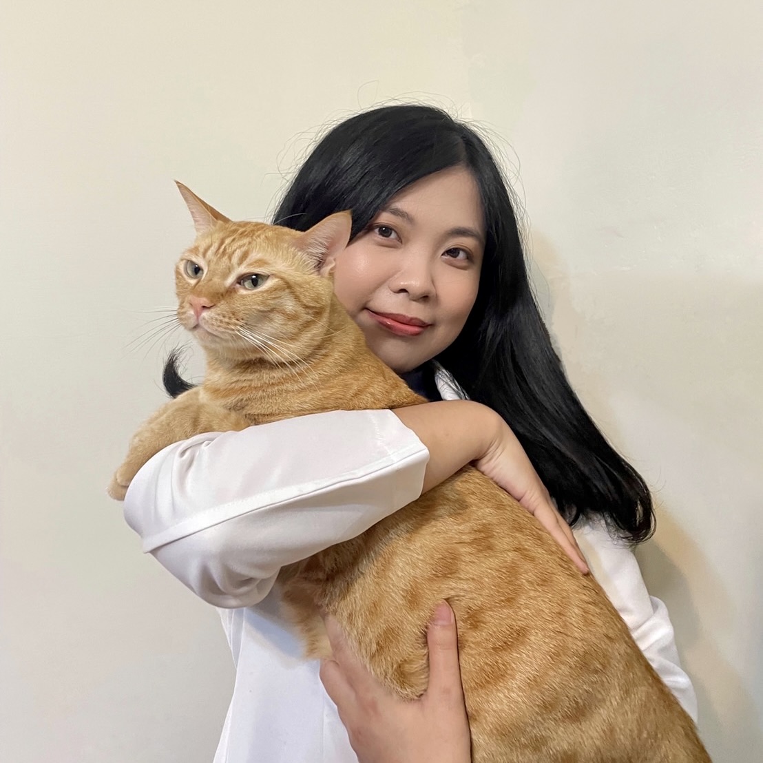 董盈資