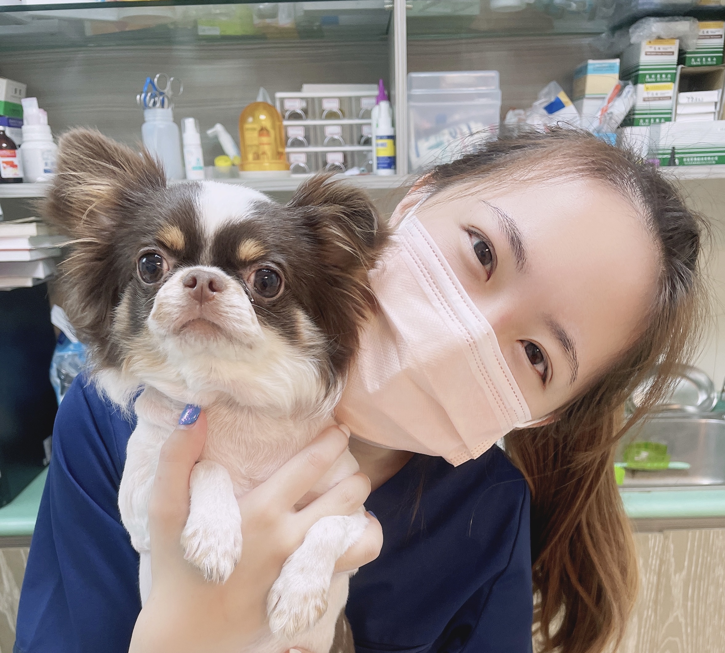 成存菡